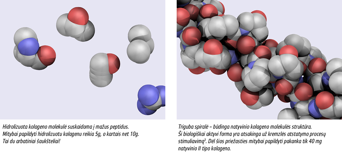 Natural Pharmaceuticals Movisan™ Collagen II Hydrolizuotos ir natyvinės kolageno molekulės su trimis spiralėmis, svarbios kremzlių atstatymui.